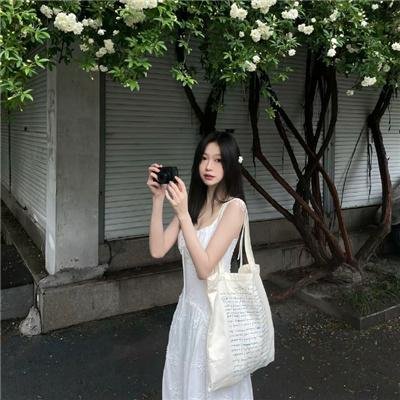 港湾第二季